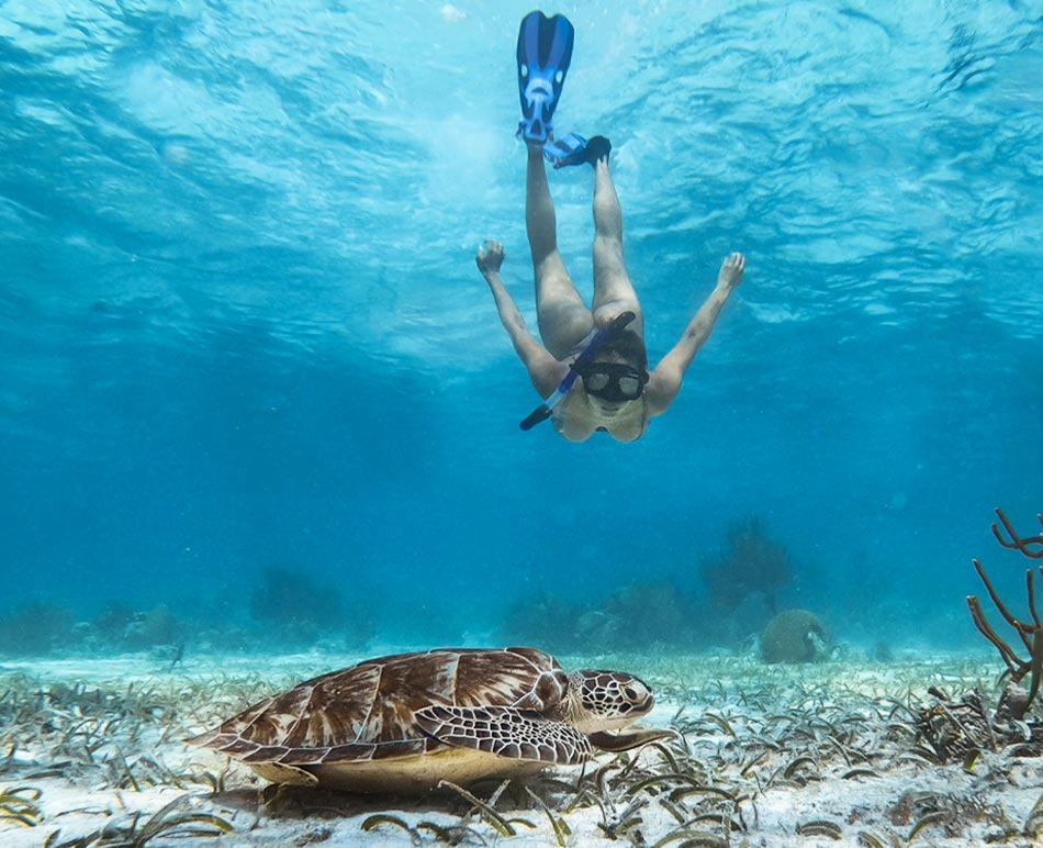 snorkeling tours in belize