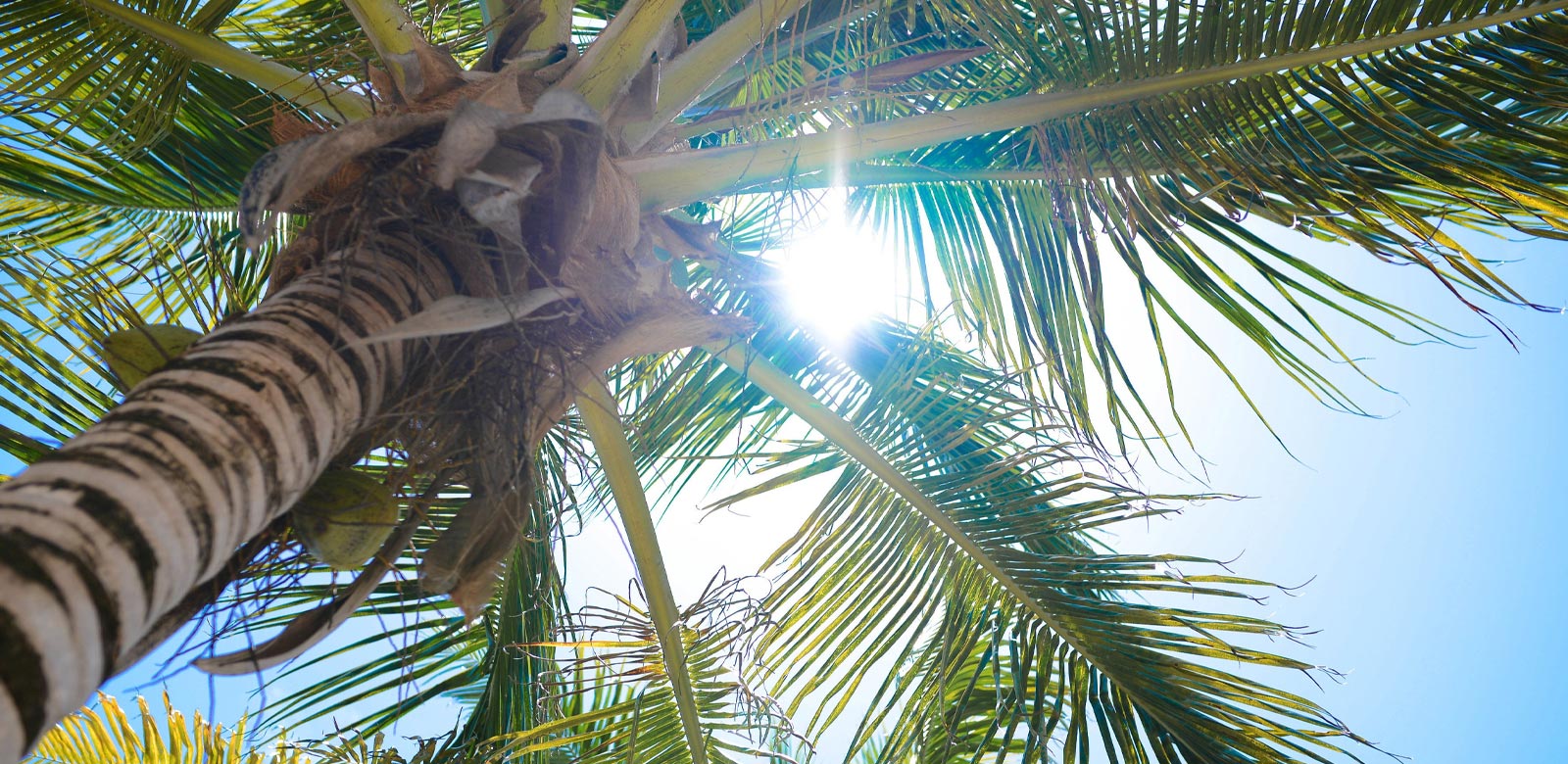 Custom Belize all inclusive packages