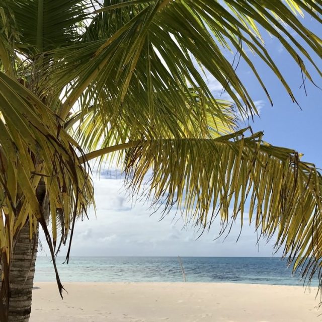 Glovers Reef Belize - beach view