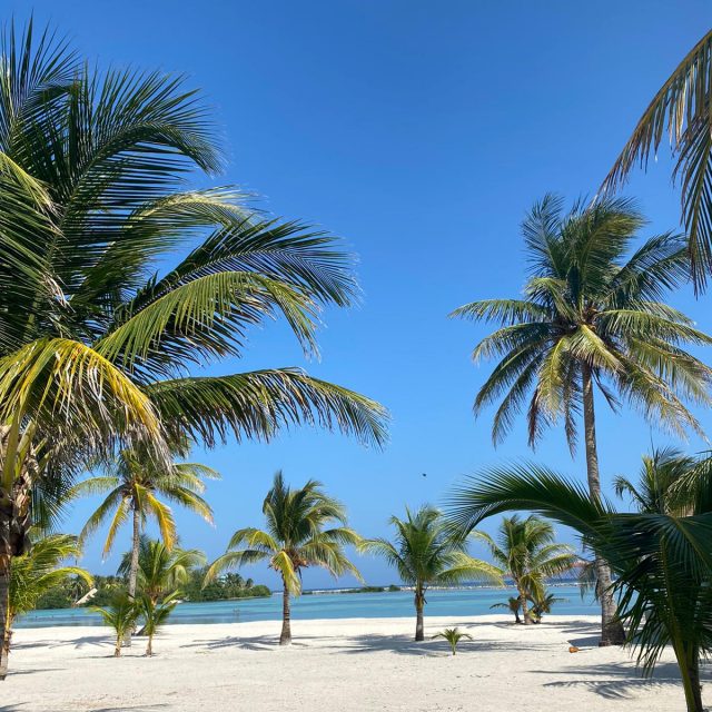 Manta Island Resort - Beachfront