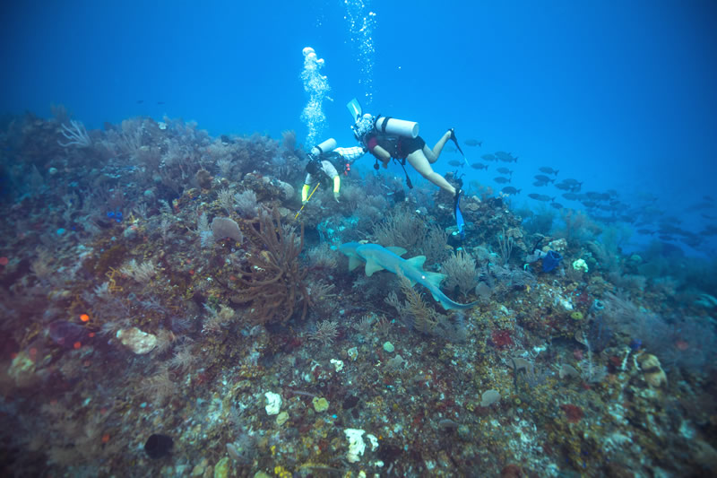 Private Island Belize Vacations