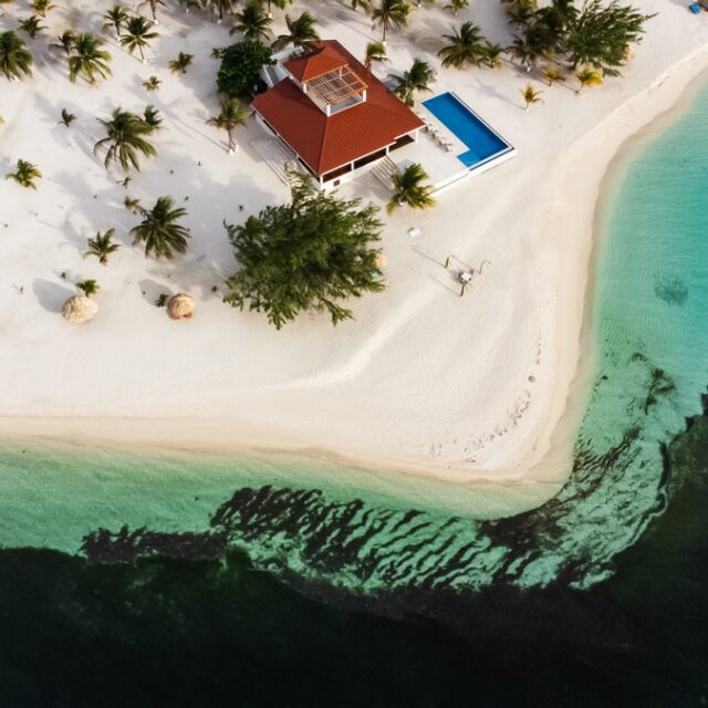 The Black Coral at Manta Island, Belize