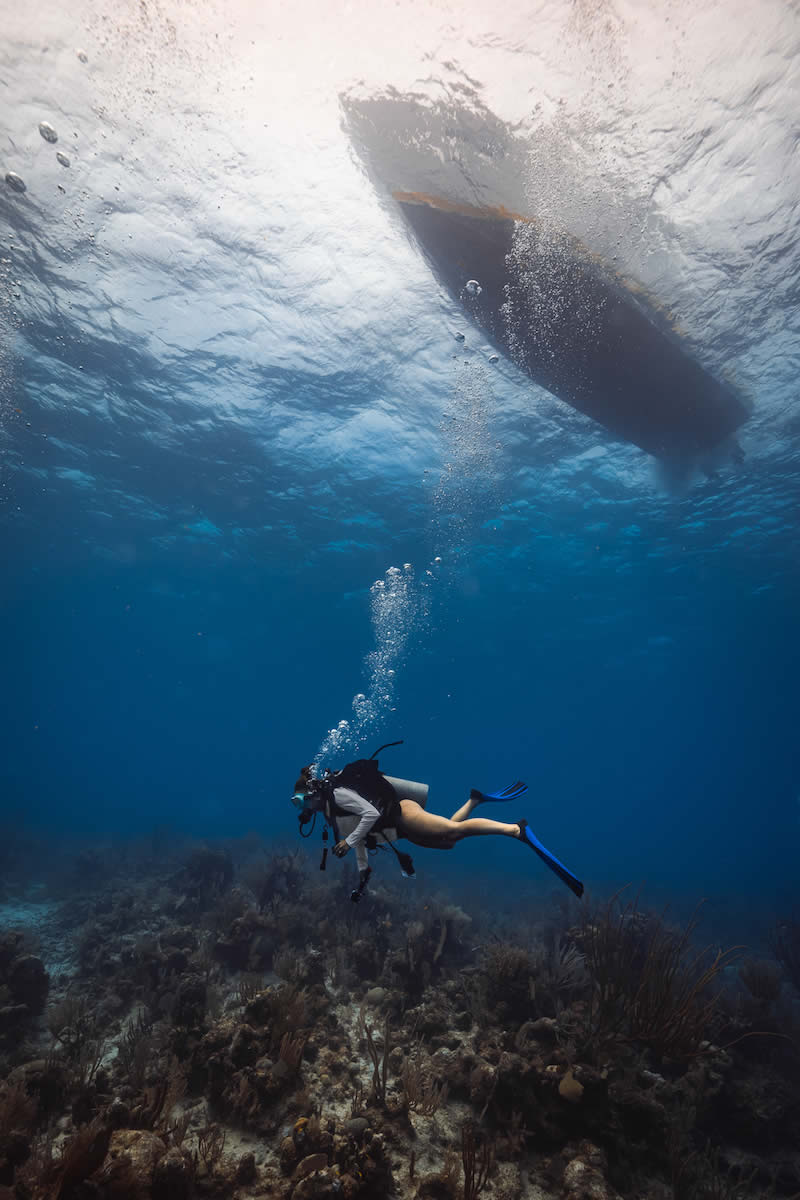Dive Glover's Reef, Belize
