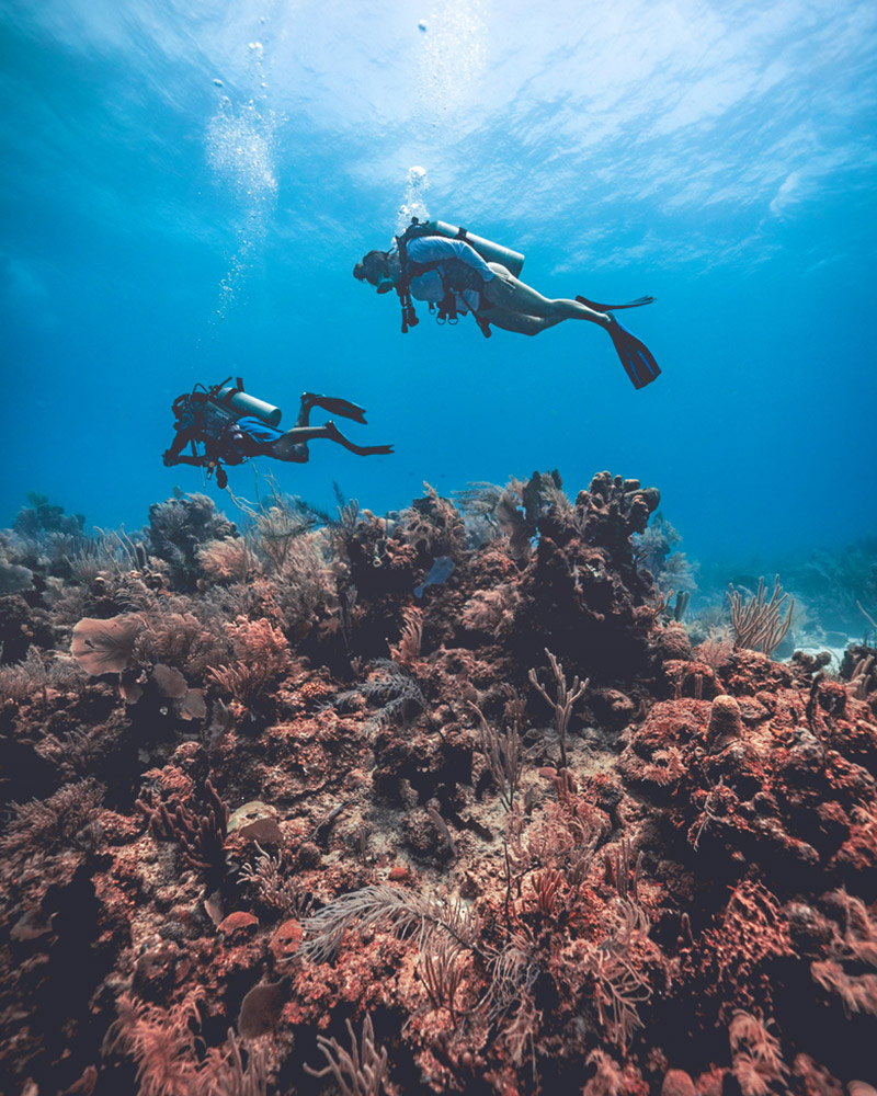 Go Scuba Diving in Belize For The Ultimate Adventure 