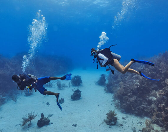 Diving at Manta Island
