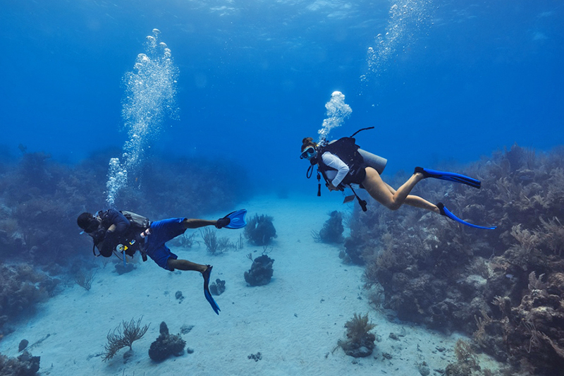 Diving at Manta Island