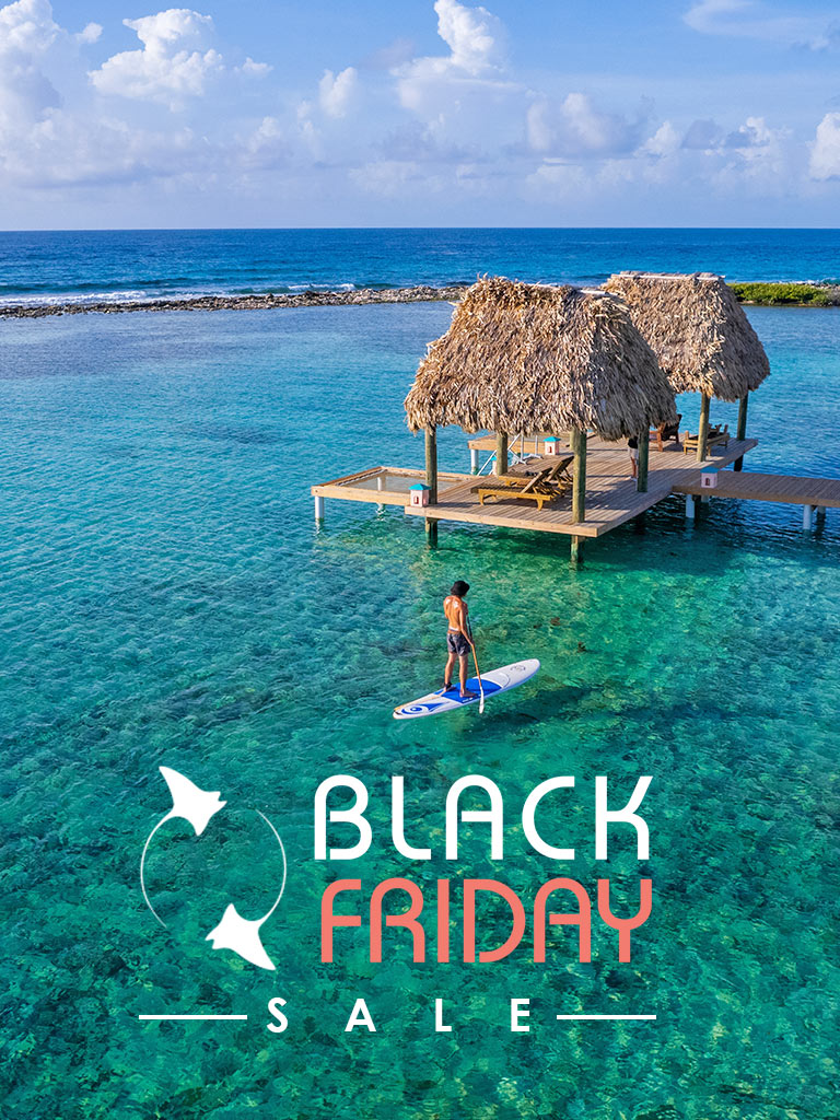 Black Friday Deal 2023 - Deal Page