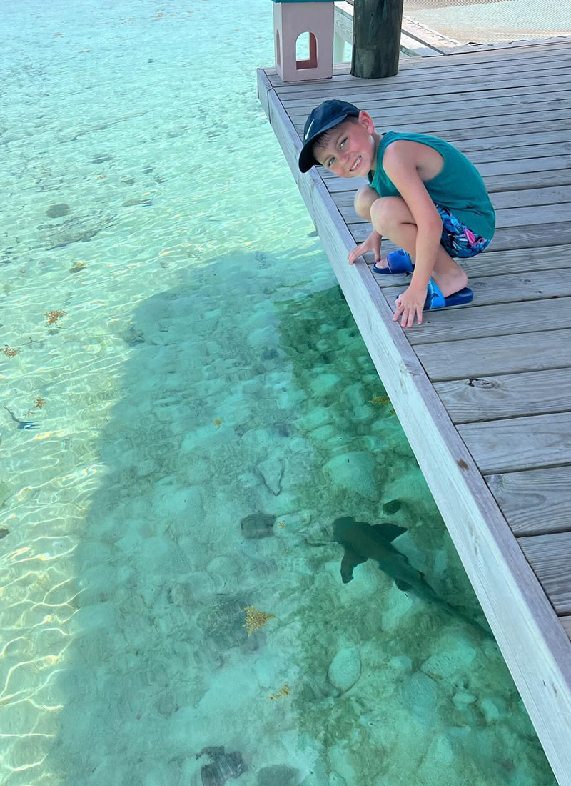  Snorkel with turtles Belize