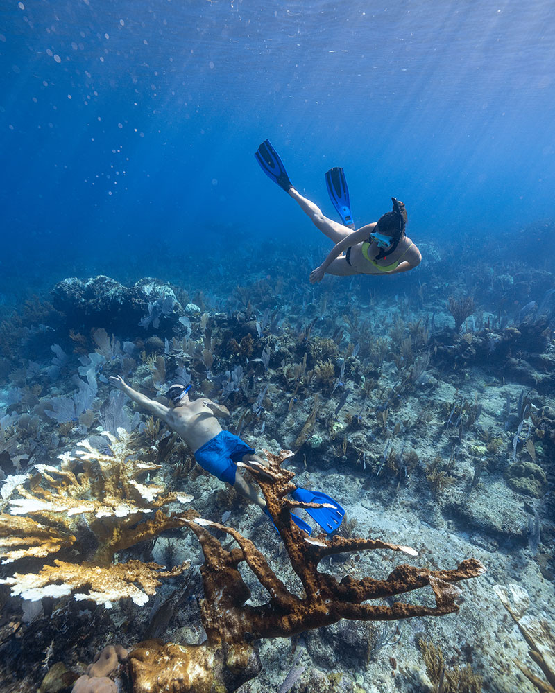  Things to do in Belize