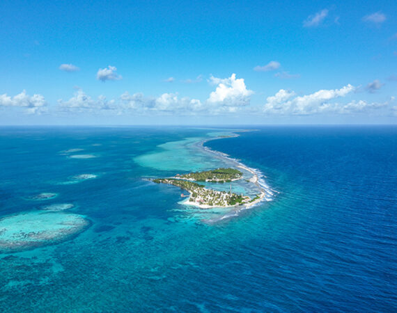 coral reef diving