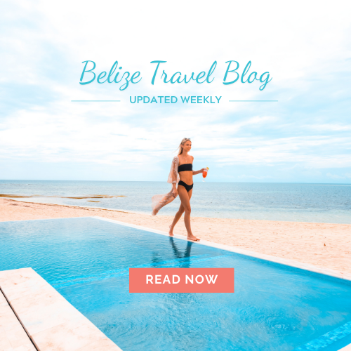 Read Our Latest Blog Article
