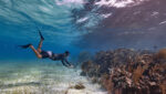 luxury Belize island