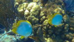 Belize private islands