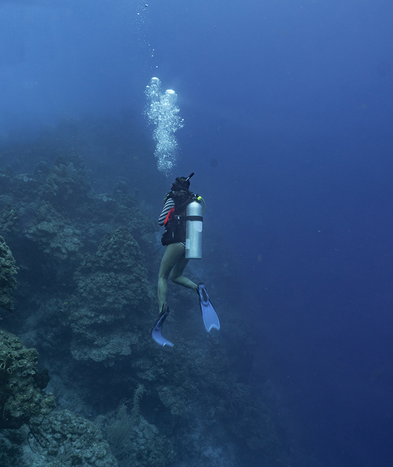  Belize May activities