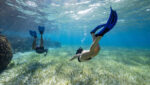 snorkeling vacation Belize