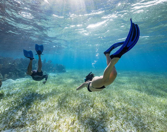 snorkeling vacation Belize
