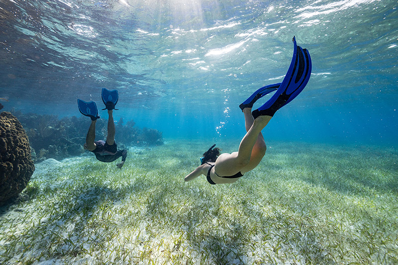 snorkeling vacation Belize