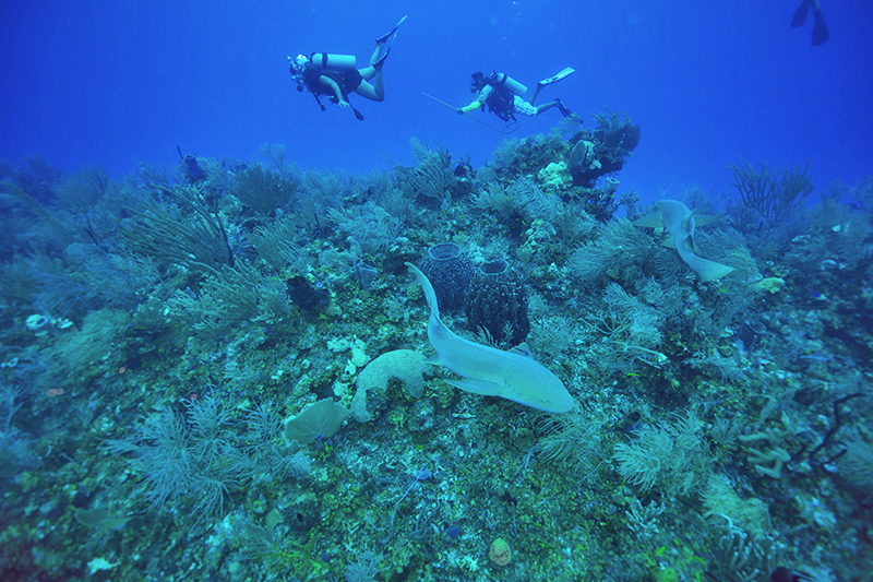 Belize all-inclusive resorts