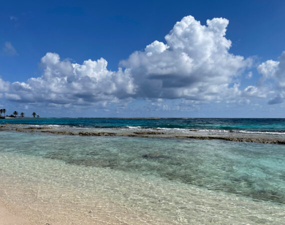 snorkeling Belize barrier reef