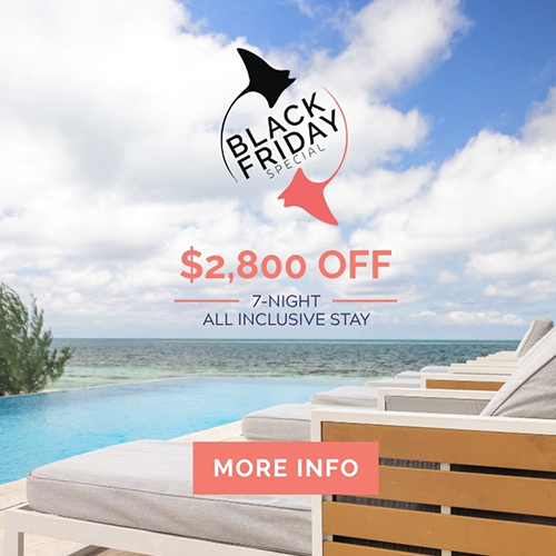 Get details on the Black Friday Sale