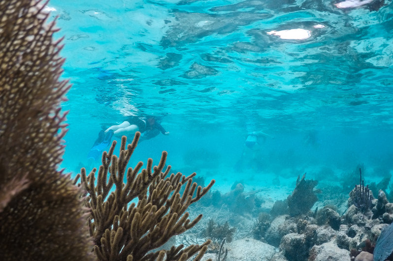 snorkeling vacations Belize