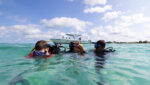snorkeling or scuba Belize