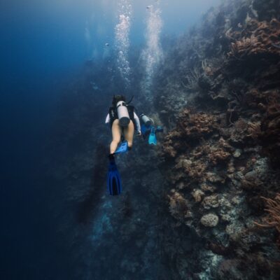 Reef wall scuba diving at Glover’s Reef Belize