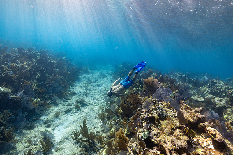 Belize all-inclusive resorts