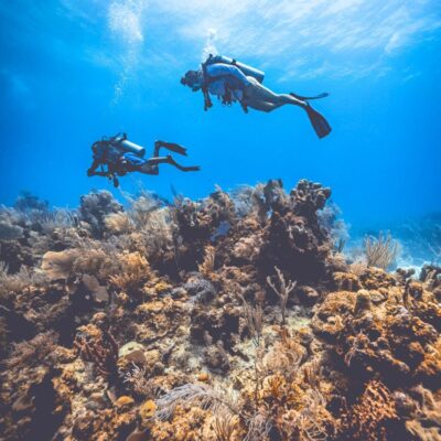 Two scuba divers exploring coral reef in Belize