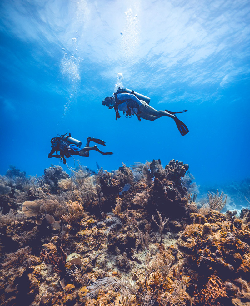 deep dive vacation package