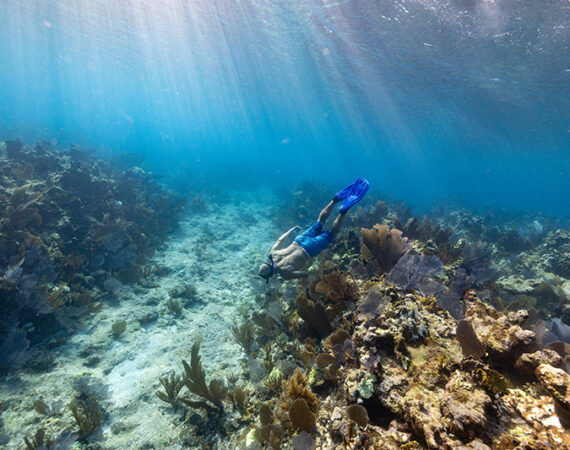 Belize barrier reef snorkeling
