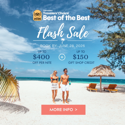 Click to learn more about our Flash Sale