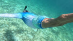 best private island in Belize