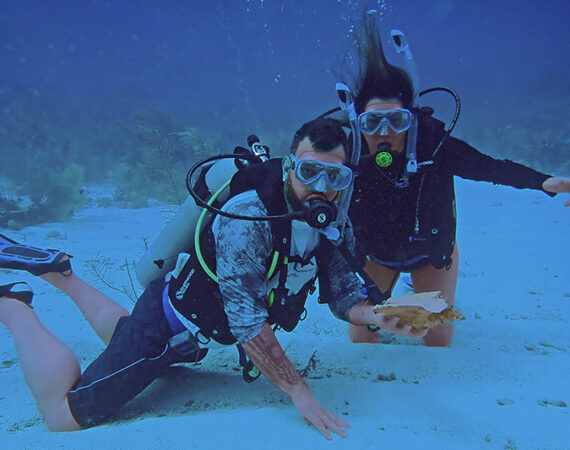 diving adventures Belize