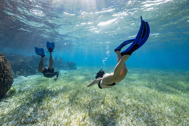 Ambergris Caye vs Manta Island